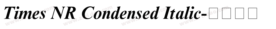 Times NR Condensed Italic字体转换